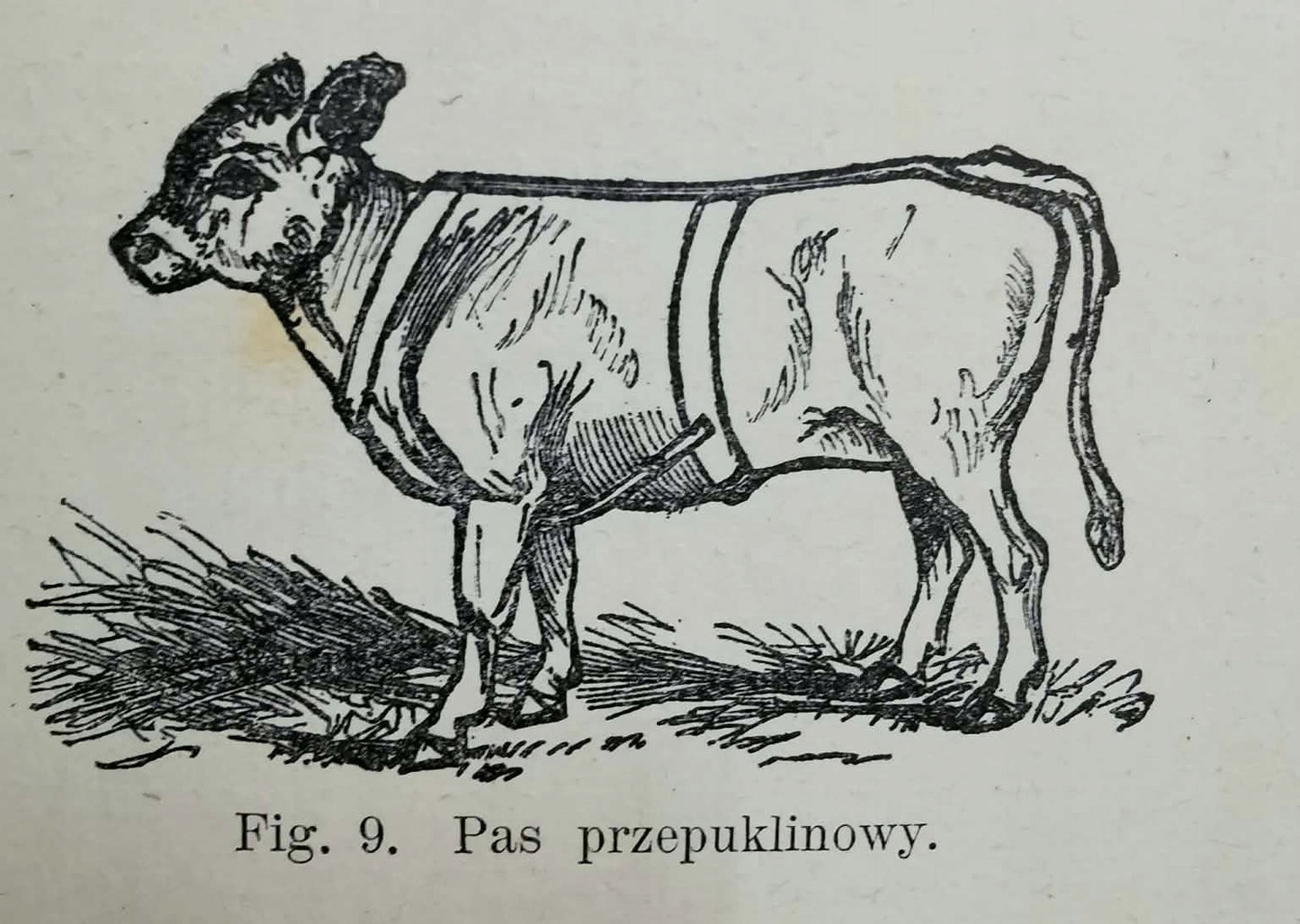 5de18b08b2546ea2c92a1f36a05d8e85