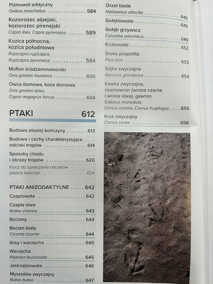 d56c17c1161eaea8f306e03fb514ad01