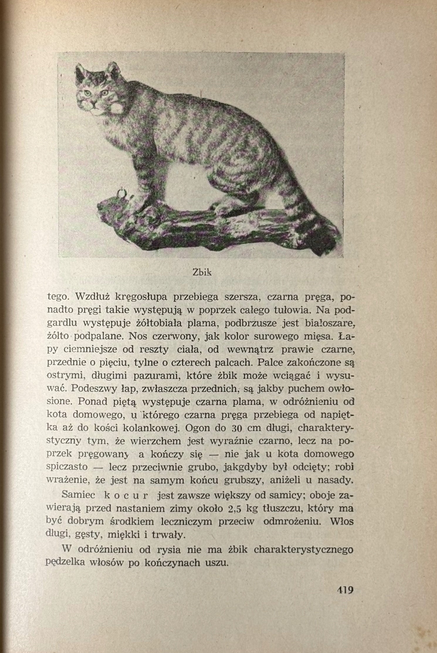 Łowiectwo Podręcznik dla leśników i myśliwych Wiesław Krawczyński [1947]