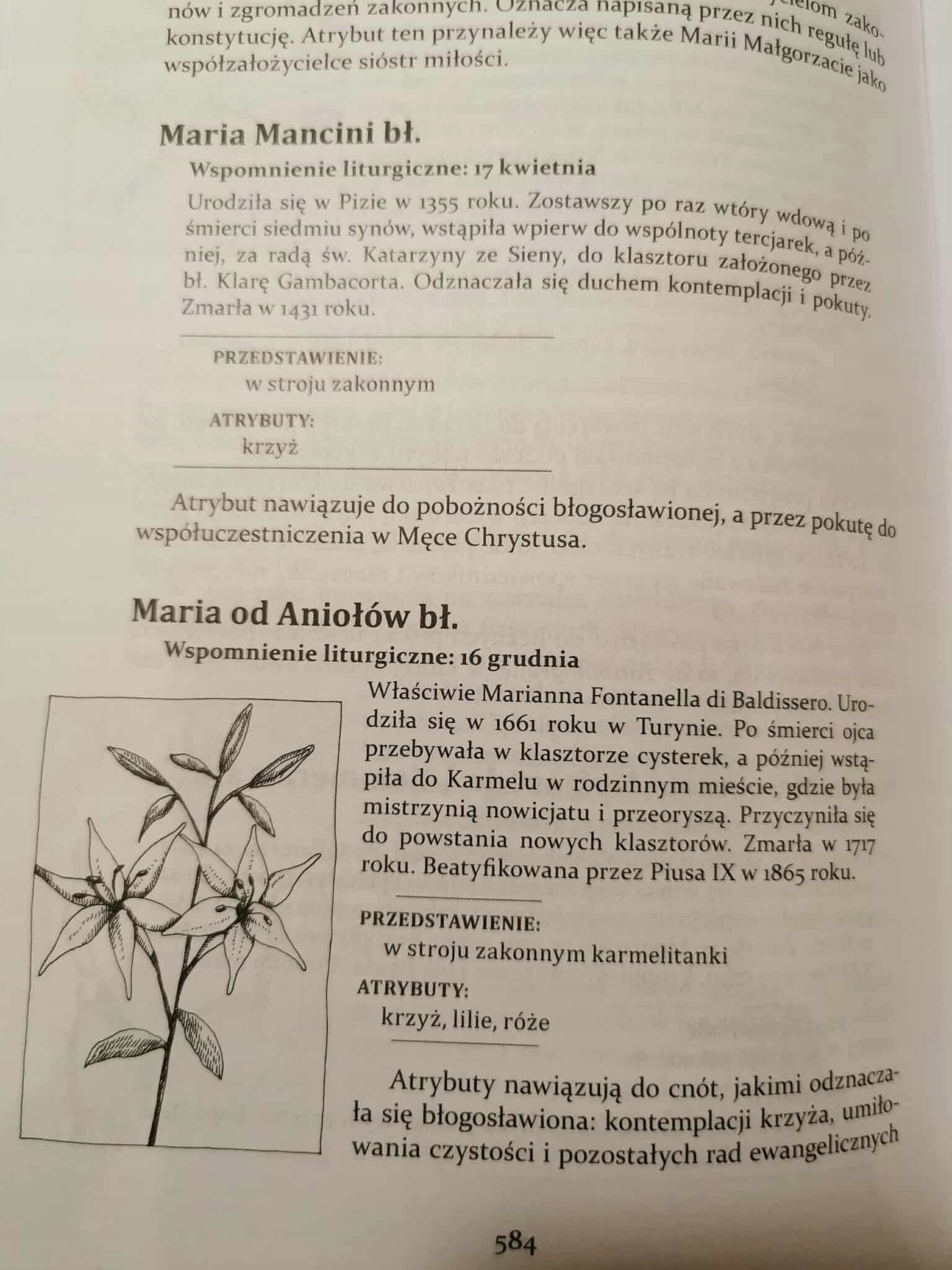 JAK CZYTAĆ WIZERUNKI ŚWIĘTYCH LEKSYKON ATRYBUTÓW I SYMBOLI HAGIOGRAFICZNYCH