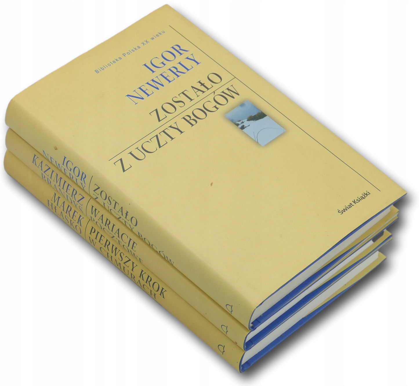 Biblioteka Polska XX wieku x3 Zostało z uczty bogów Igor Newerly + ...