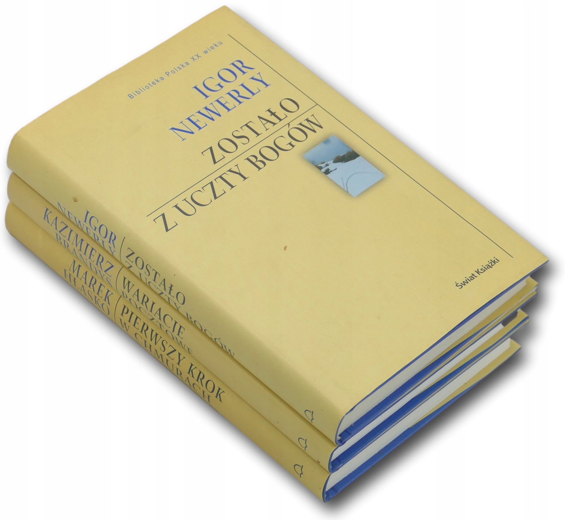 Biblioteka Polska XX wieku x3 Zostało z uczty bogów Igor Newerly + ...