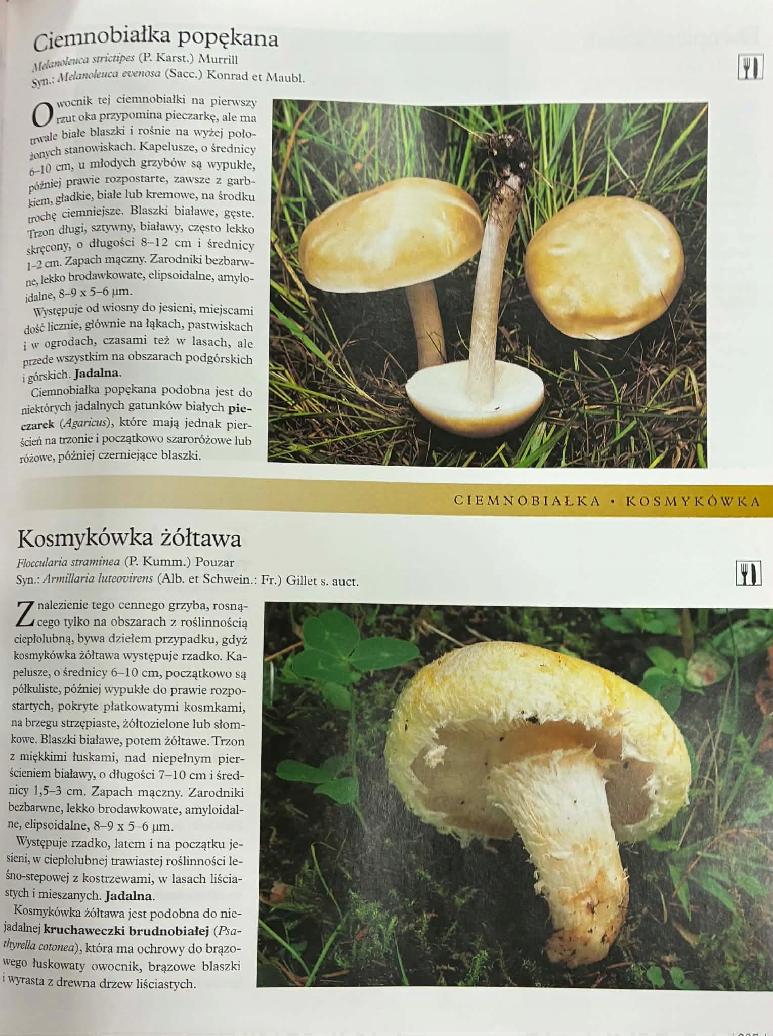 Grzyby ilustrowana encyklopedia, Vladimír Antonín