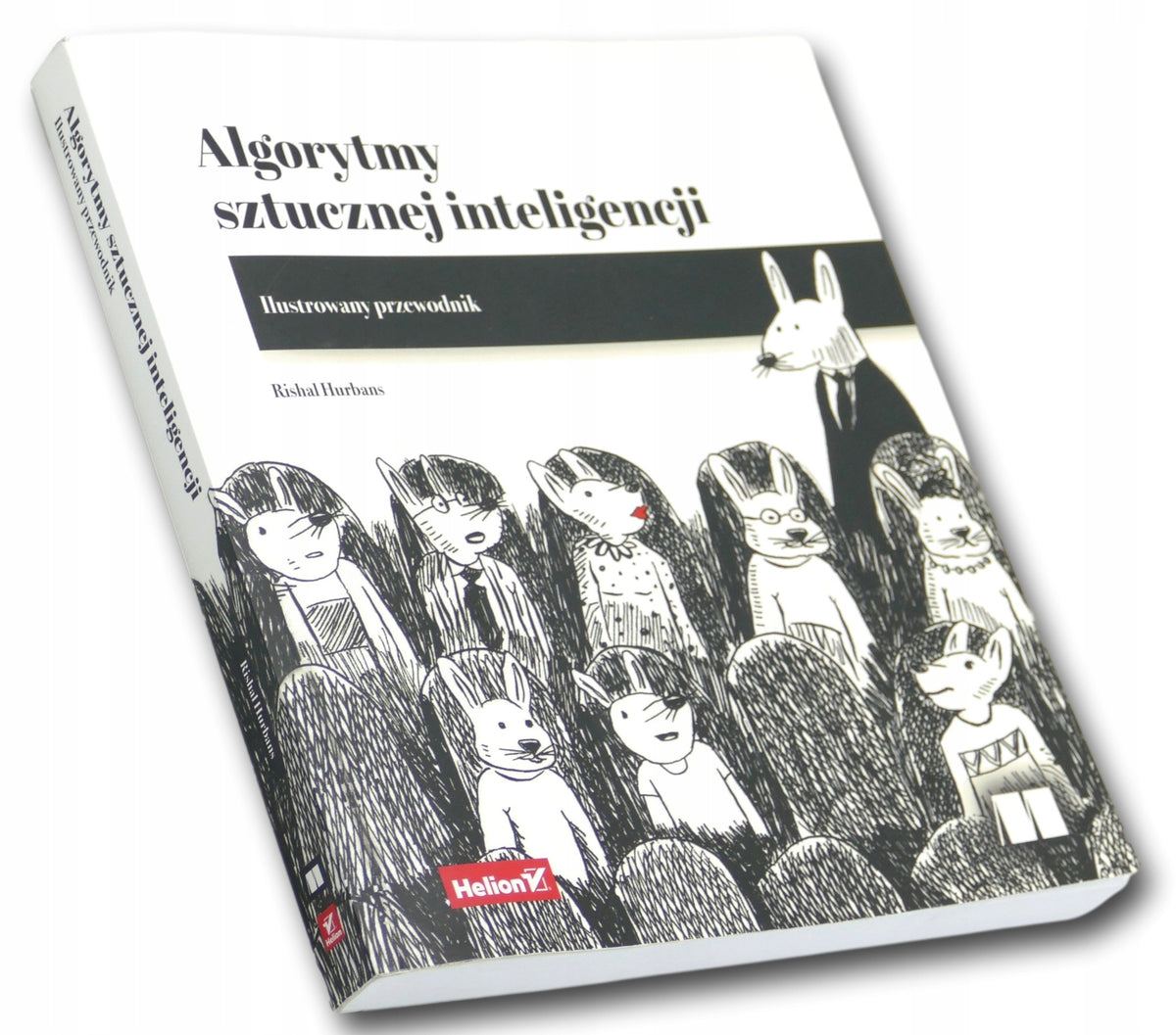 Rishal Hurbans Algorytmy sztucznej inteligencji-ilustrowany przewodnik
