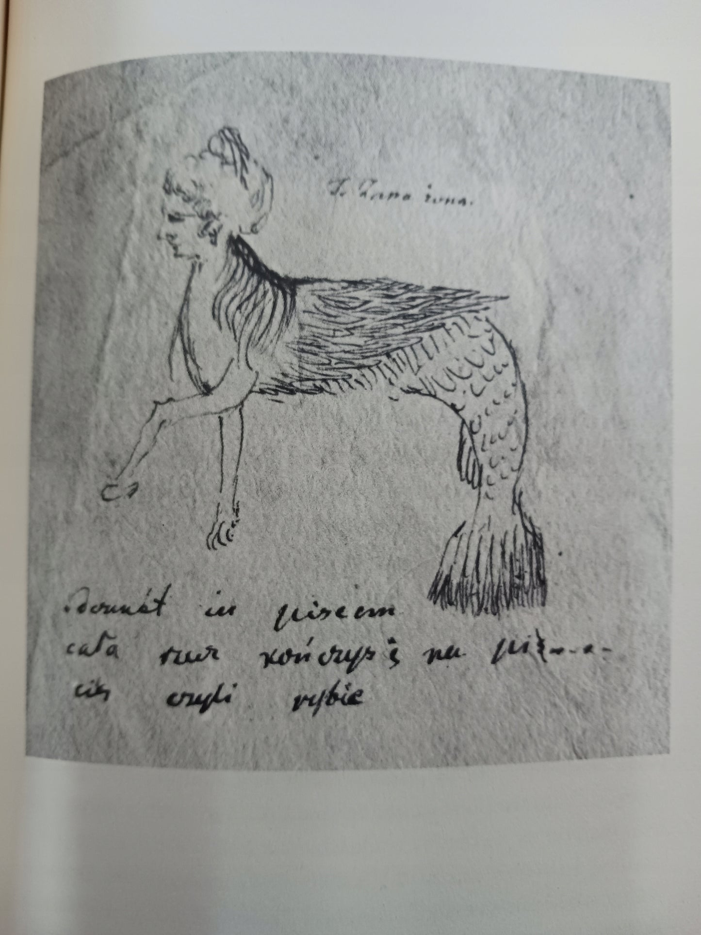 Mickiewiczowskie figury wyobraźni Wojciech Owczarski