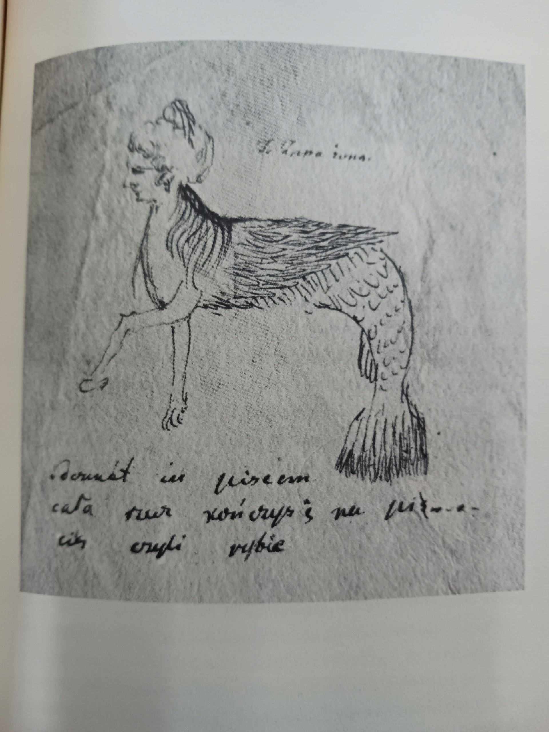 Mickiewiczowskie figury wyobraźni Wojciech Owczarski