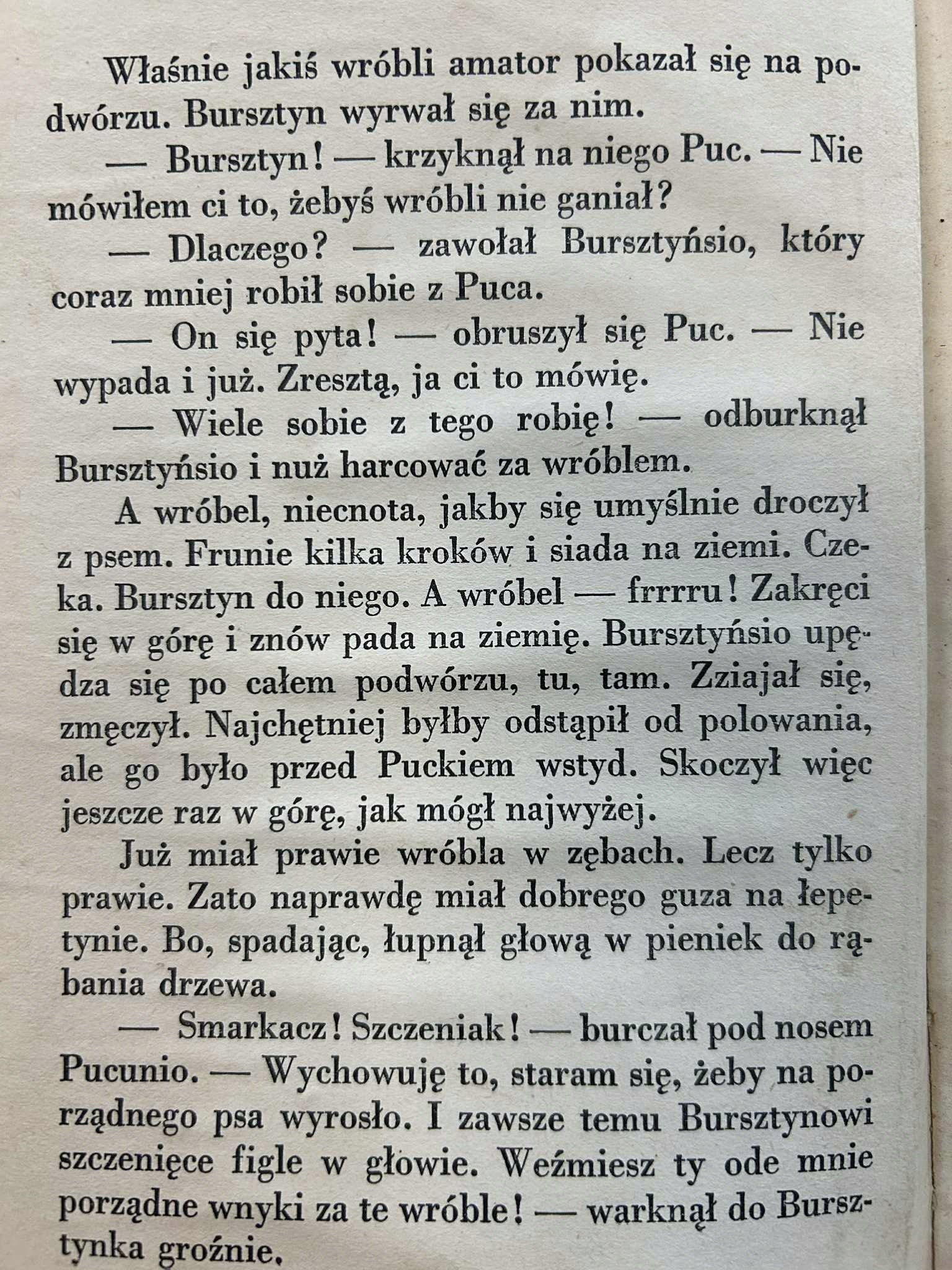 e8d97b479e05d6d1b17ff244aaebd81c