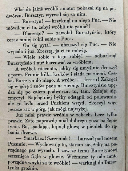 e8d97b479e05d6d1b17ff244aaebd81c