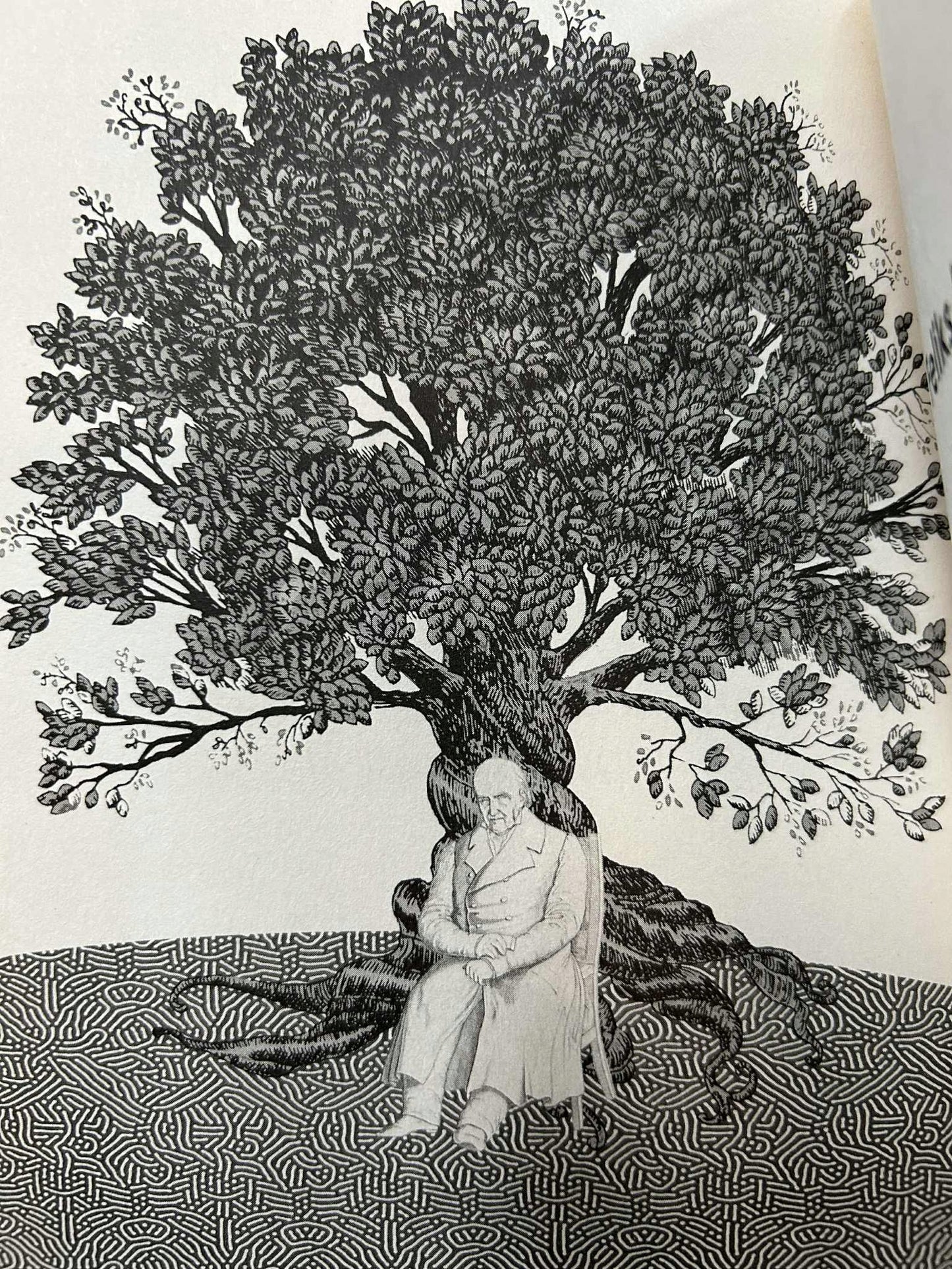 Portret rodziny z czasów wielkości - Maciej Łubieński