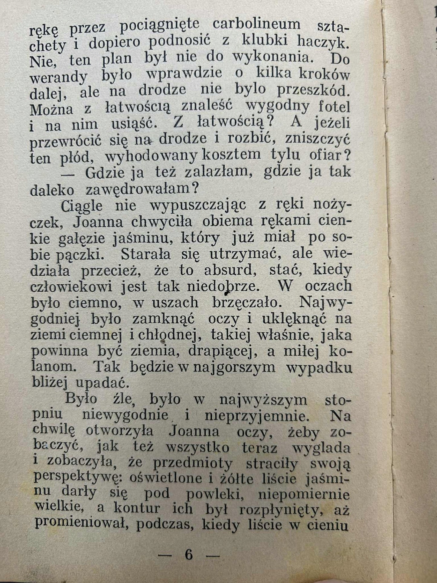 Swastyka i dziecko - Wanda Melcer [1934 r.]