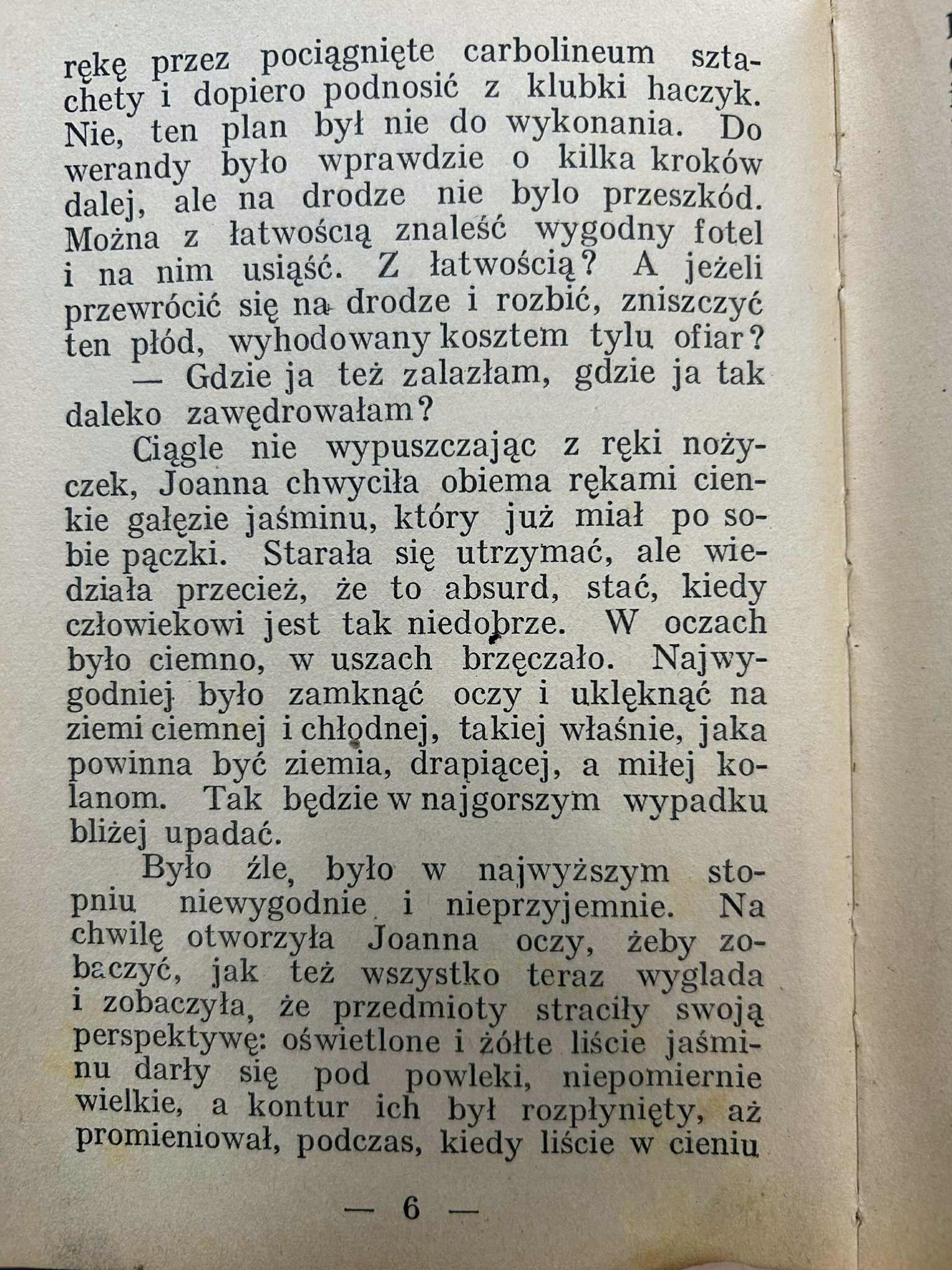 Swastyka i dziecko - Wanda Melcer [1934 r.]