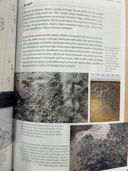 830e7d29e72d0b5831a820e1fe839bf1