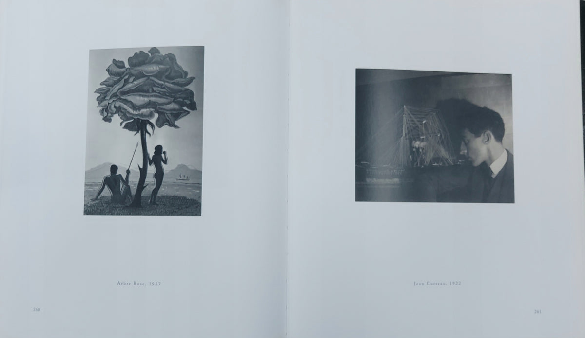 Man ray Trees + flowers - insect animals