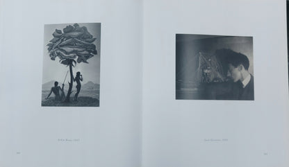 Man ray Trees + flowers - insect animals