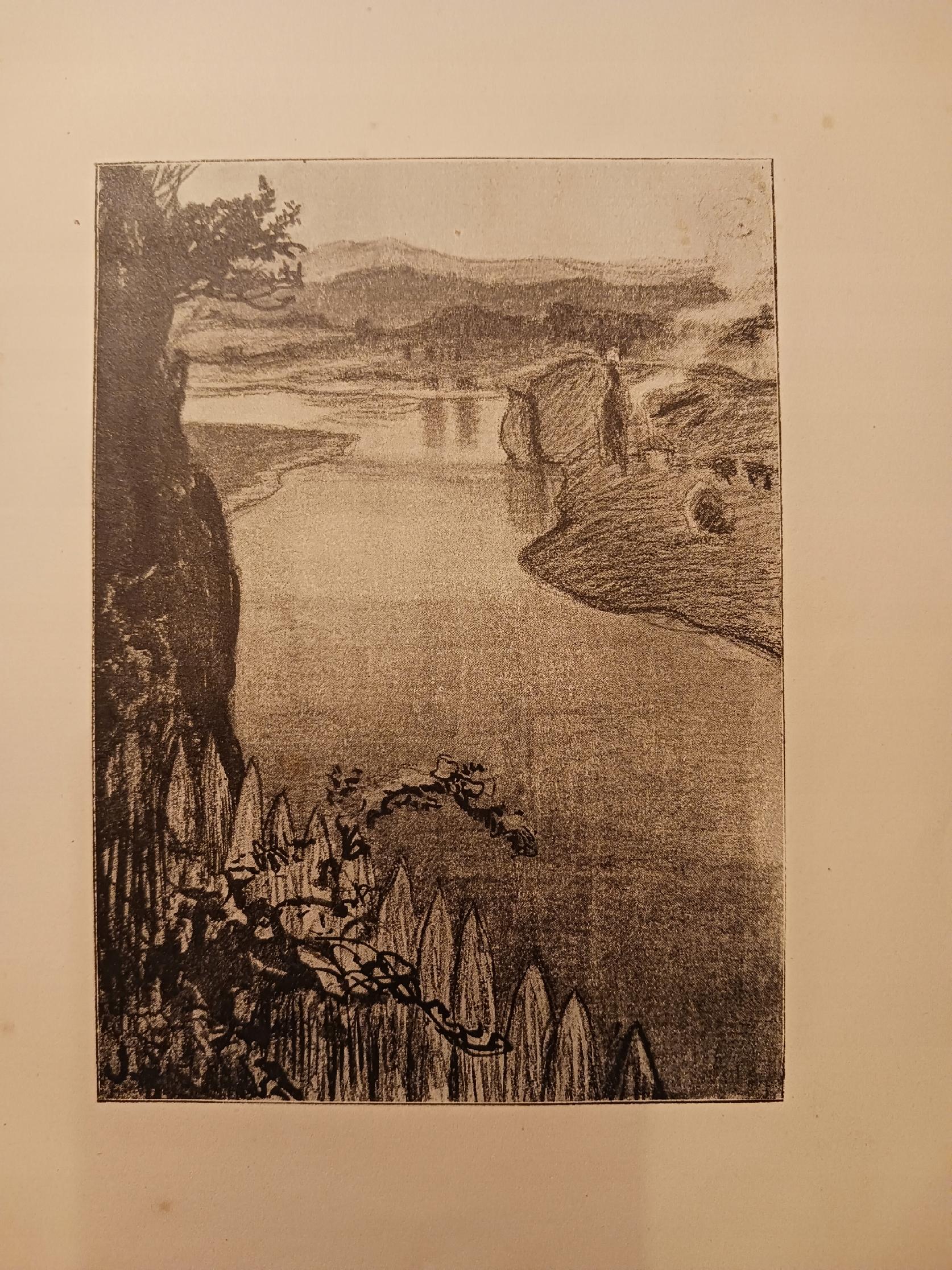 Powieść o udałym Walgierzu Stefan Żeromski [I wydanie; Warszawa rok 1906]