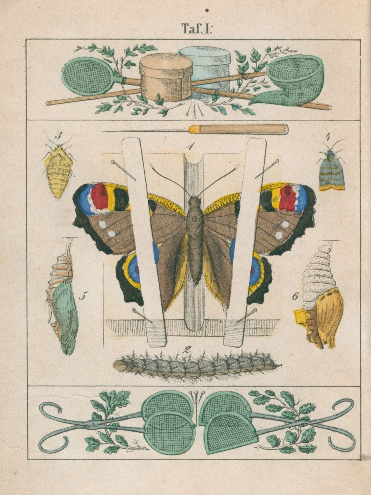Księga motyli (Schmeterlingsbuch) [Halle 1890]